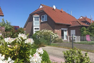 Lüttje Seestern Nordseeküste