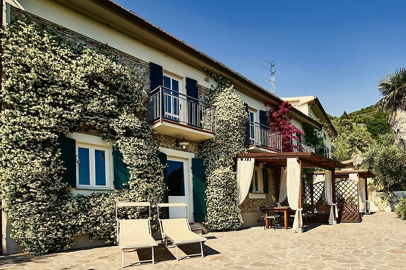 La Lucertola Pisa/Lucca in Pisa - Firma La Lucertola snc, Frau l. riddiford