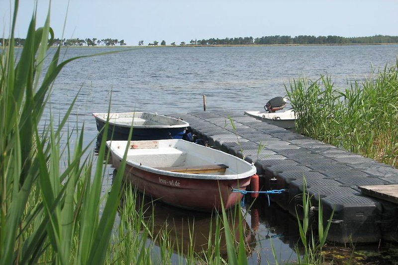 Boat dock in the Bodden