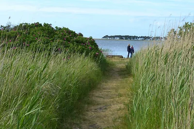 Südwind