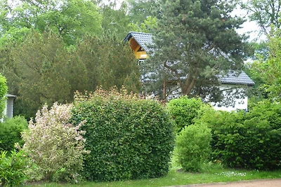 Südwind
