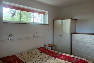 istočni vjetar