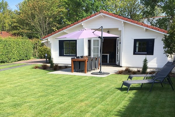 Ferienwohnung Renesse