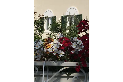 Villa Elisabetta 2