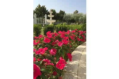 Villa Elisabetta 3