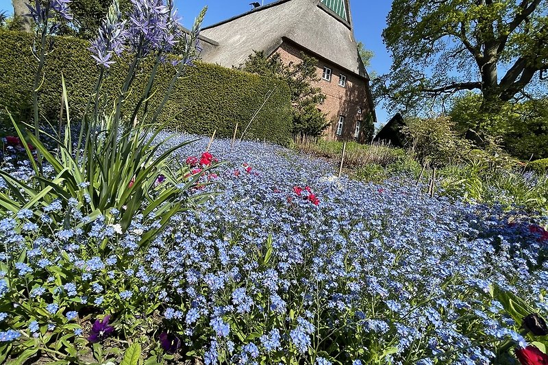 Ein idyllischer Garten mit blühenden Pflanzen und einem malerischen Himmel Aboretum Ellerhoop
