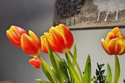 Ferienwohnung "Zeit-Los"