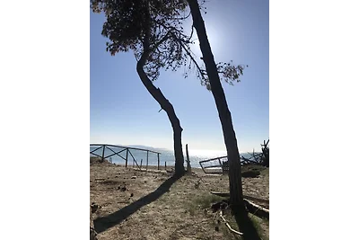 agricampeggio vento etrusco