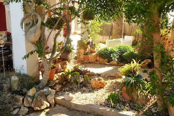 Ferienhaus Cala Llombards