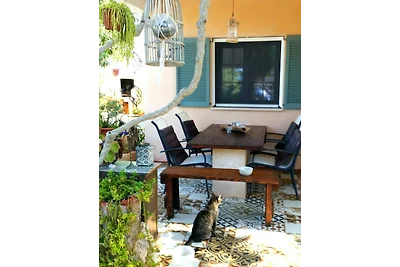 Casa Palmeras