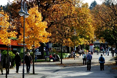 Harzfewo | Köhnke 1