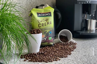 Harzfewo | Köhnke 1