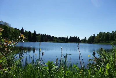 Harzfewo | Köhnke 1