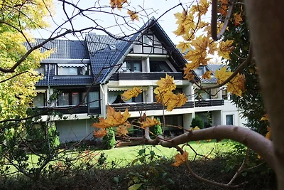 Harzfewo | Köhnke 4