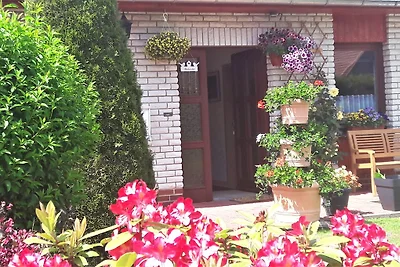 Casa di vacanza Bergblick nei monti Harz