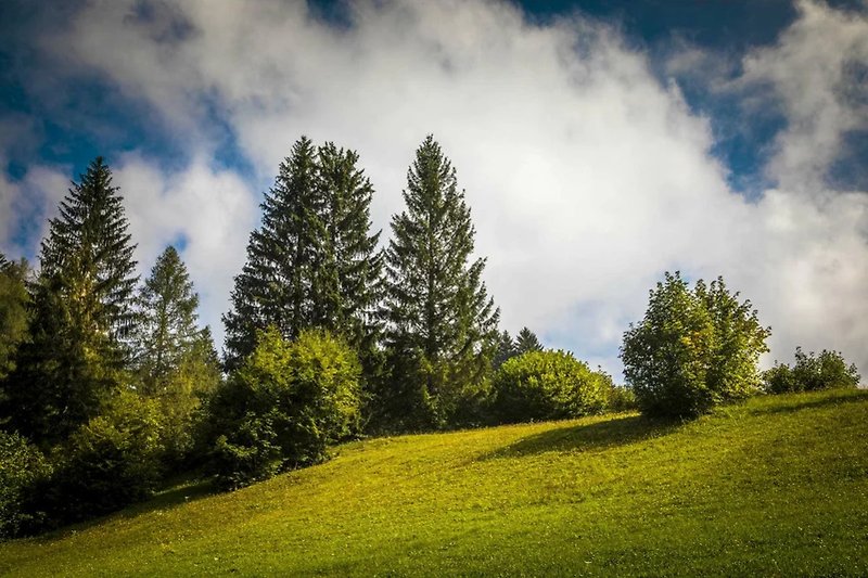 Berglandschaft mit grüner Vegetation und blauem Himmel.