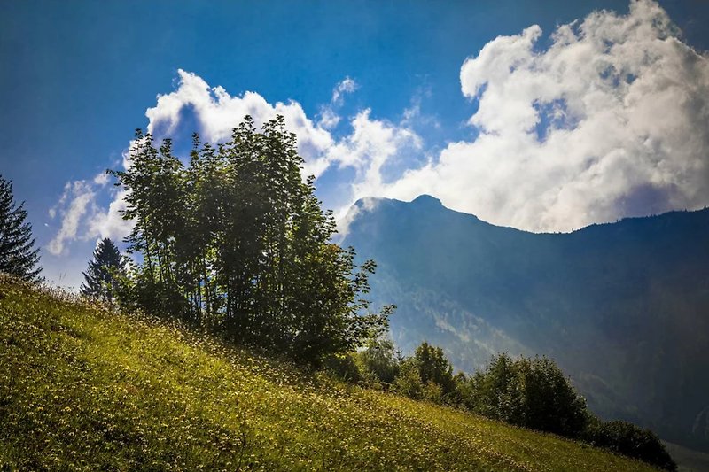 Berglandschaft mit grüner Vegetation und blauem Himmel.