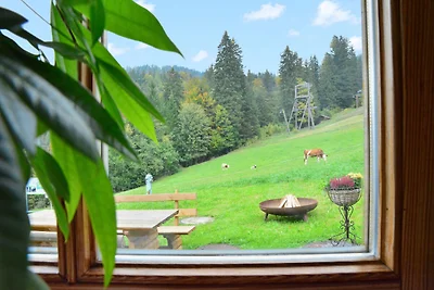 Schmittenappartement 1