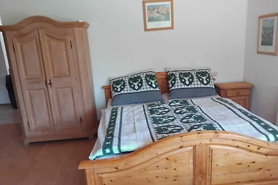Schmittenappartement 1