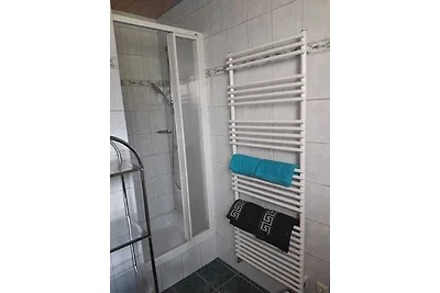 Schmittenappartement 1