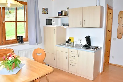 Schmittenappartement 1