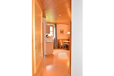 Schmittenappartement 2