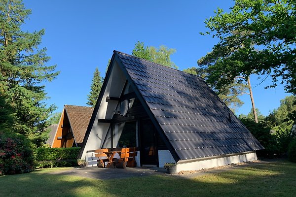 Ferienhaus Schneverdingen