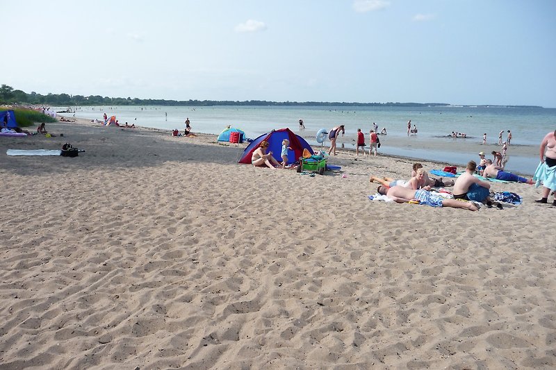 Baltic Sea beach Wohlenberg