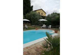 Sagrantino Der Strauß und die Rose