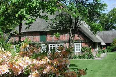 Ferienparadies Hof Höpen