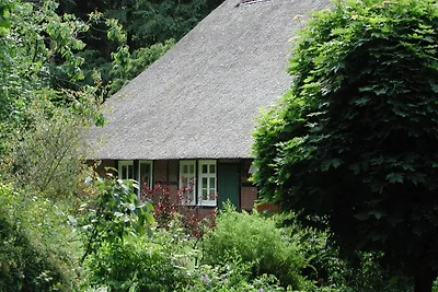 Ferienparadies Hof Höpen