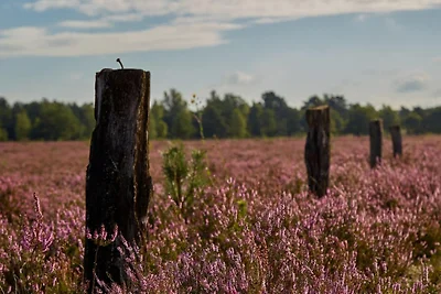 Ferienparadies Hof Höpen