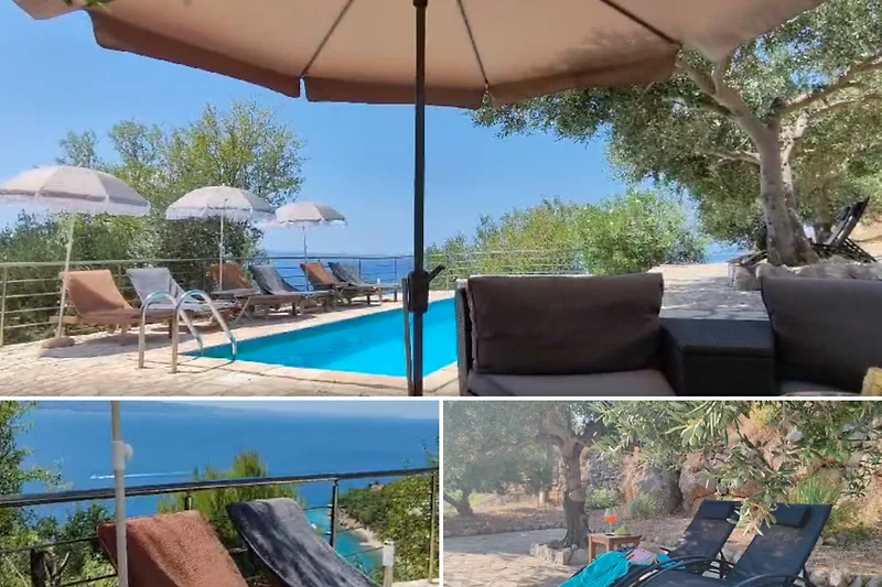 Poolbereich mit Liegestühlen, Sonnenschirm und Palmen.