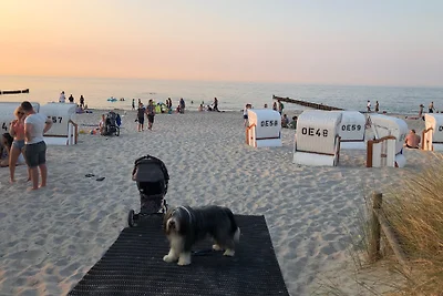 App. Strandmuschel/Villa Strandburg