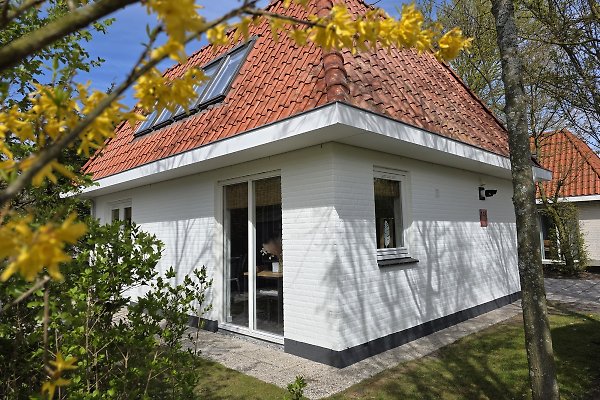 Ferienhaus Noordwijk