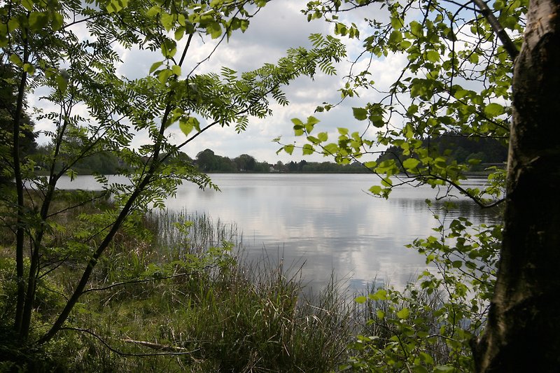 Haus am See in ClausthalZellerfeld T. Knaack