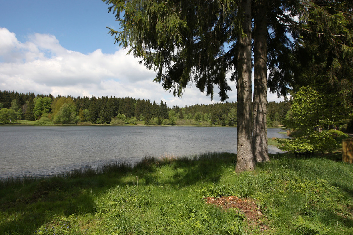 Haus am See in ClausthalZellerfeld T. Knaack