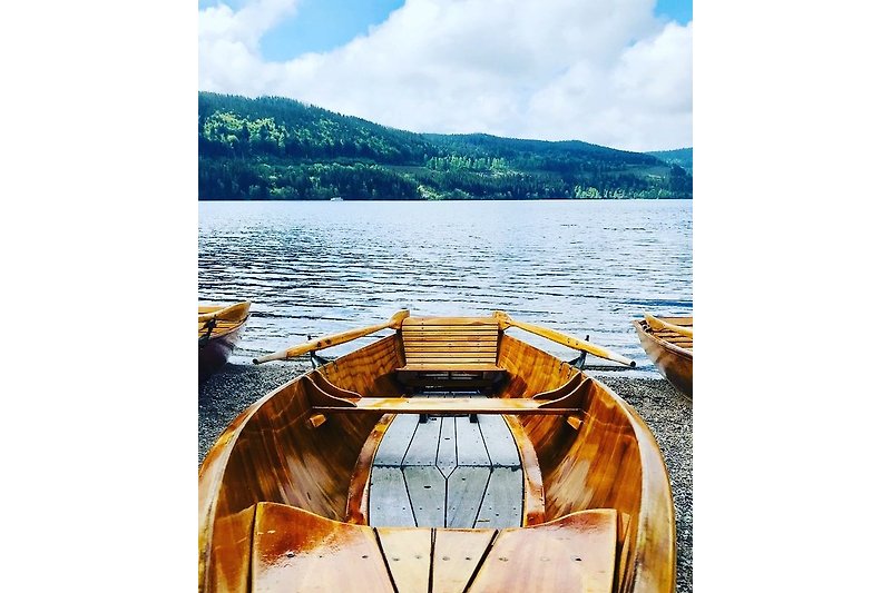 Rudern am Titisee