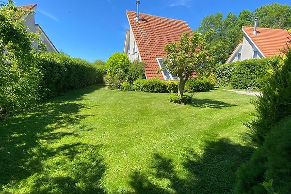 Ferienhaus Scharendijke