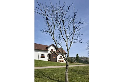 Haarstubenhäusl "Glückskäfer"