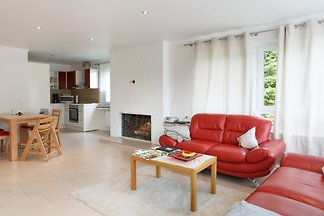 Rotbuche im Buchenhof Braunlage