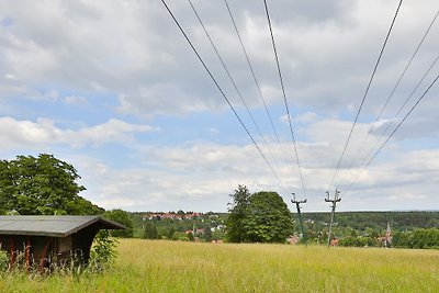 Beukenbos bij Buchenhof Braunlage