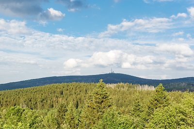 Buchecker bij Buchenhof Braunlage