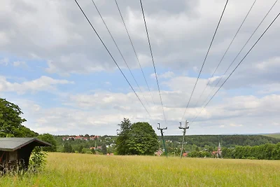 Rotbuche im Buchenhof Braunlage