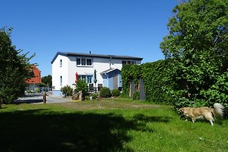 Strandläufer im Witte Hus auf Rügen