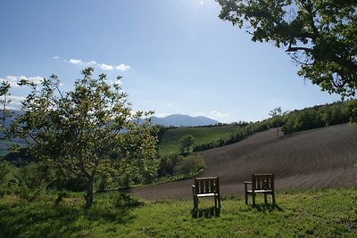 Agriturismo Vellaneta