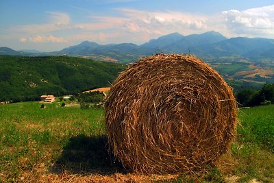 Agriturismo Vellaneta