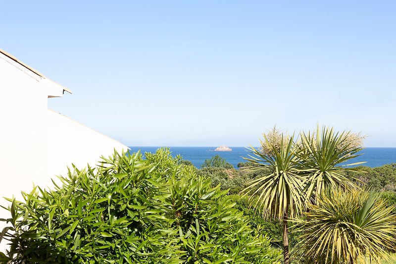 Maison de vacances à Pinarellu avec vue sur la mer et jardin tropical.