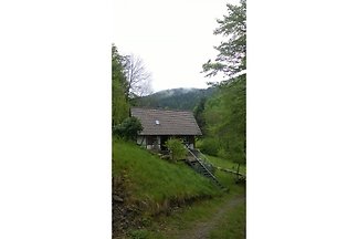 Haus Münz