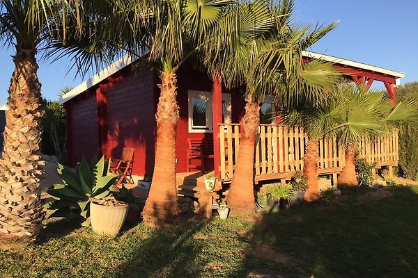 Ferienhaus Conil de la Frontera